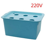 Blau