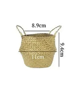 11CM XXS