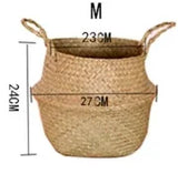 29CM M