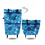 Blaue Chrysantheme