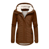 Braun