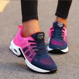 Blau / Rosa
